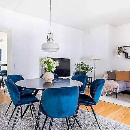 Fantastic Four-bedroom Centrally Located With A Roof Terrace Kodaň